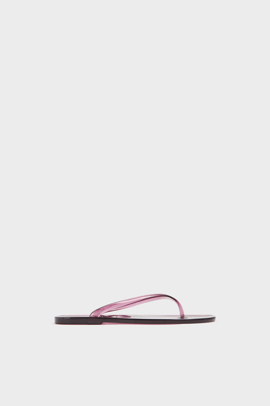 WINE COLOR