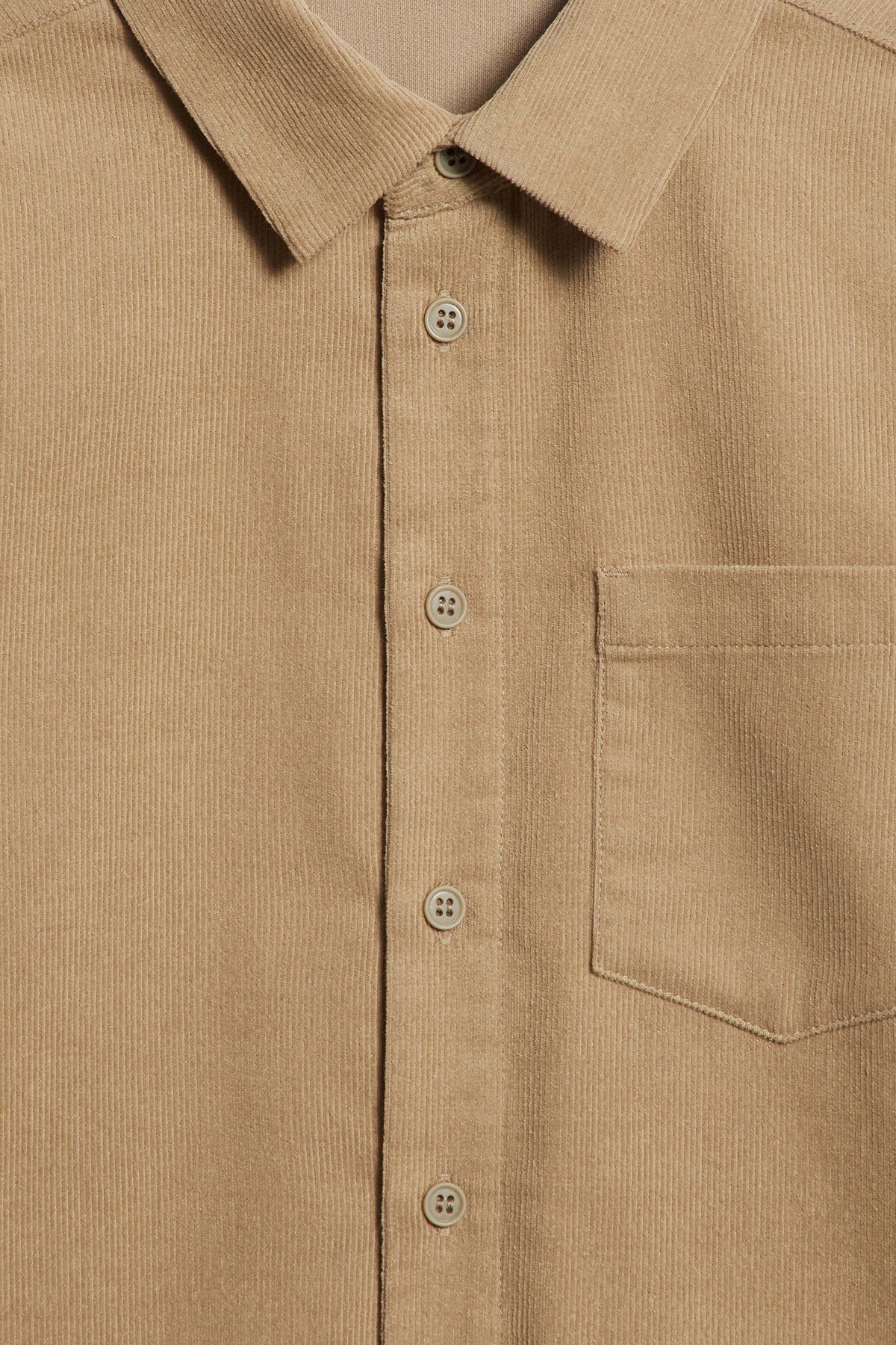 LIGHT KHAKI