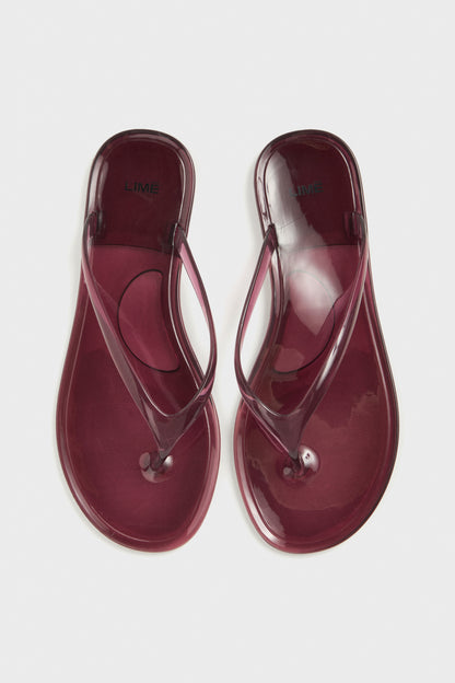 WINE COLOR