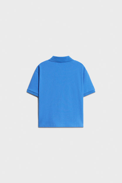 CORNFLOWER