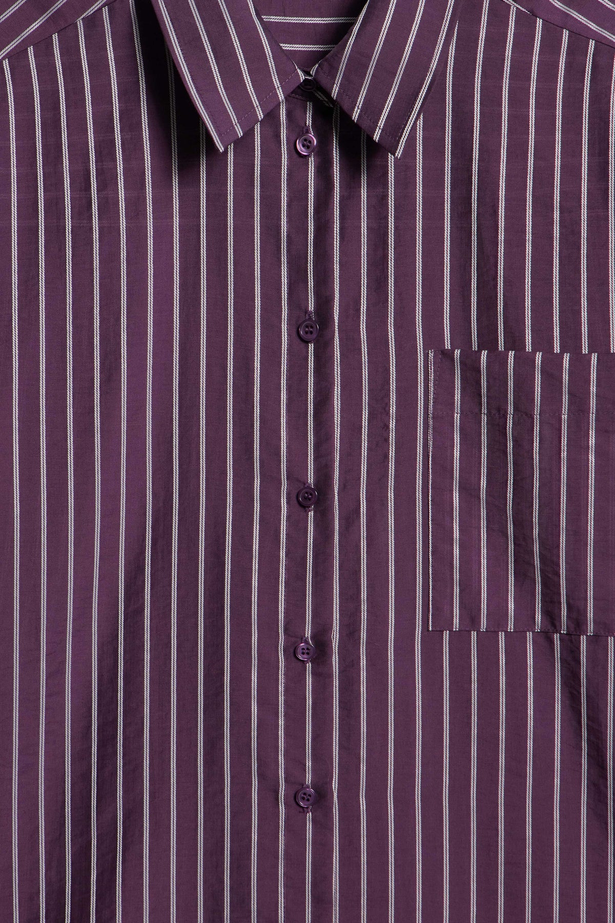 VIOLET/WHITE