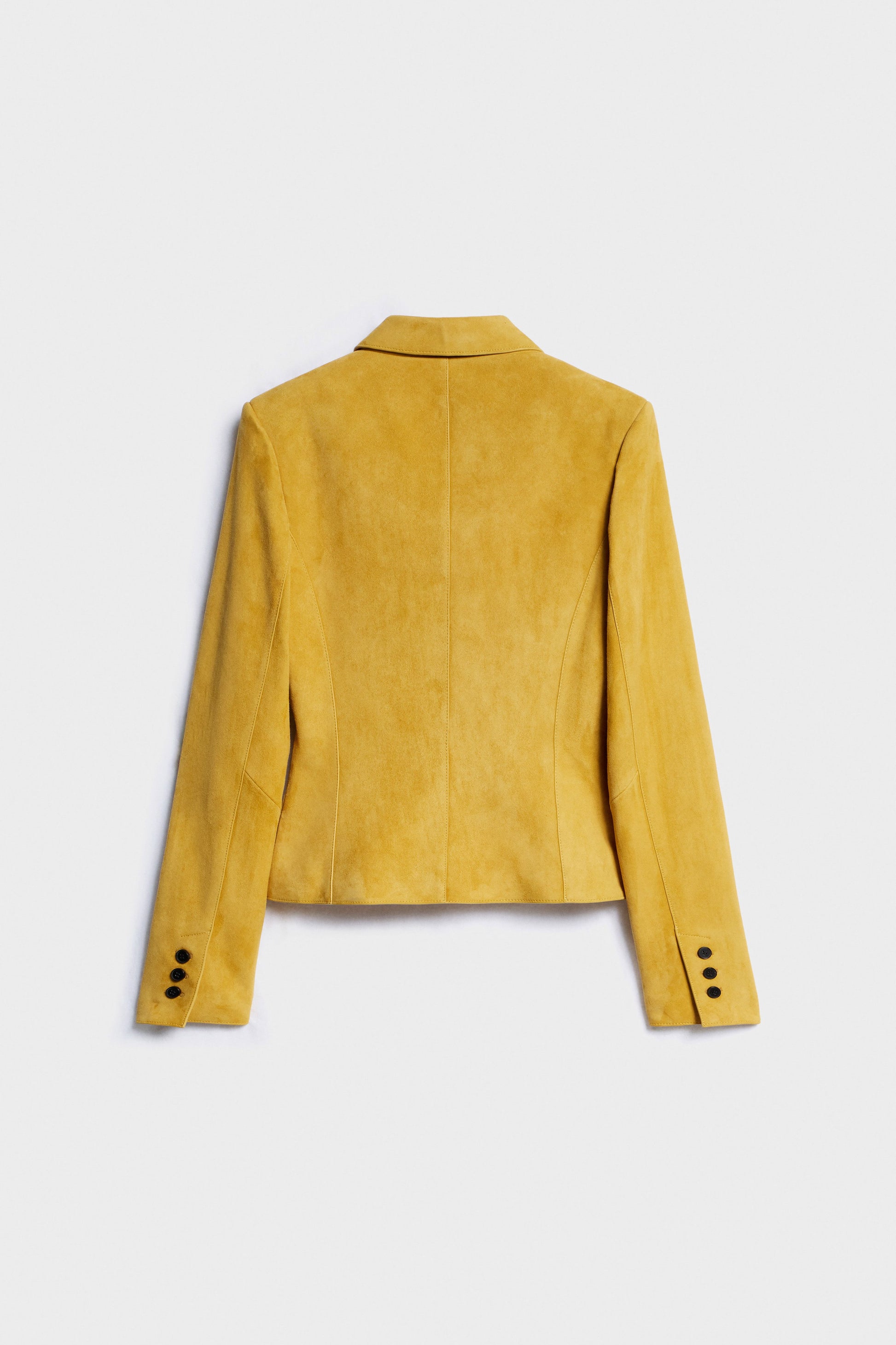 MUSTARD