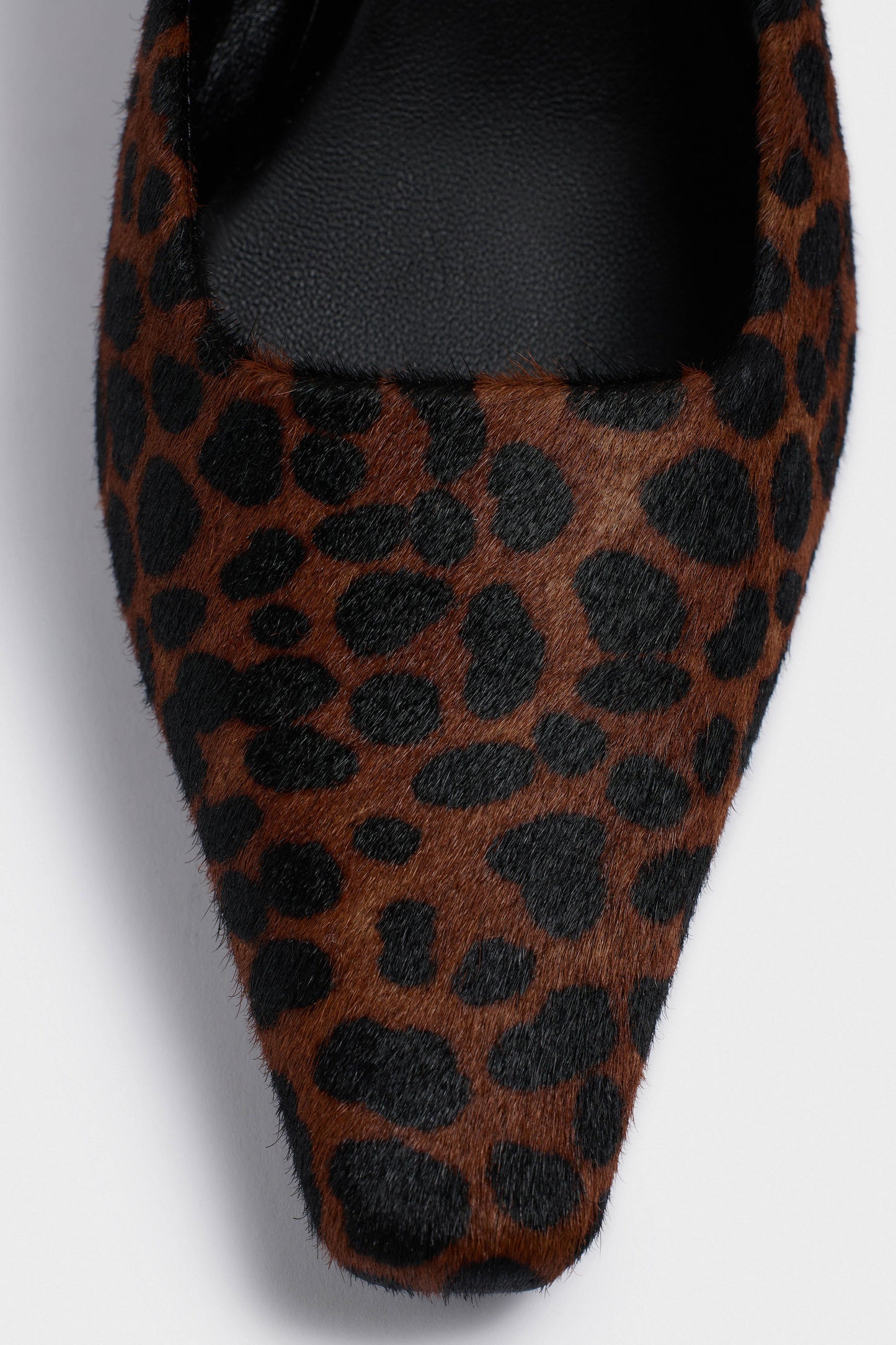 LEOPARD/BROWN