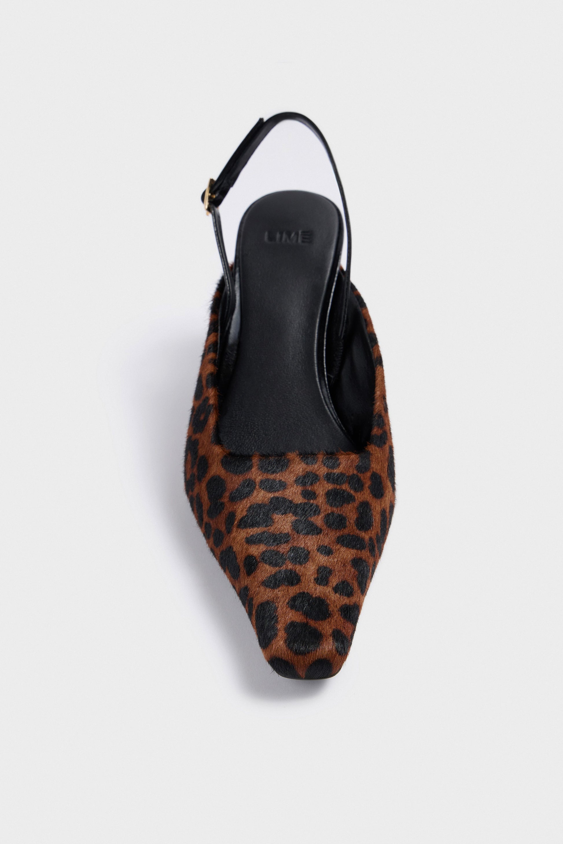 LEOPARD/BROWN